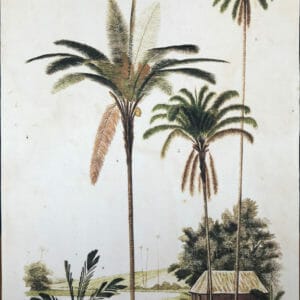 Vintage Palms print